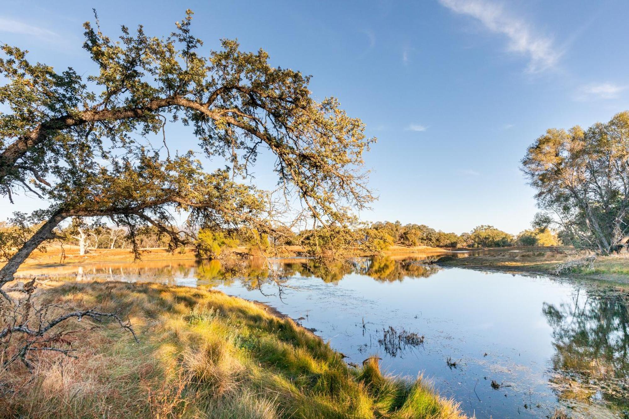 Rolling Oaks Ranch - 200 Acres Of Lakeside Beauty & Countryside Serenity Mariposa Exteriör bild