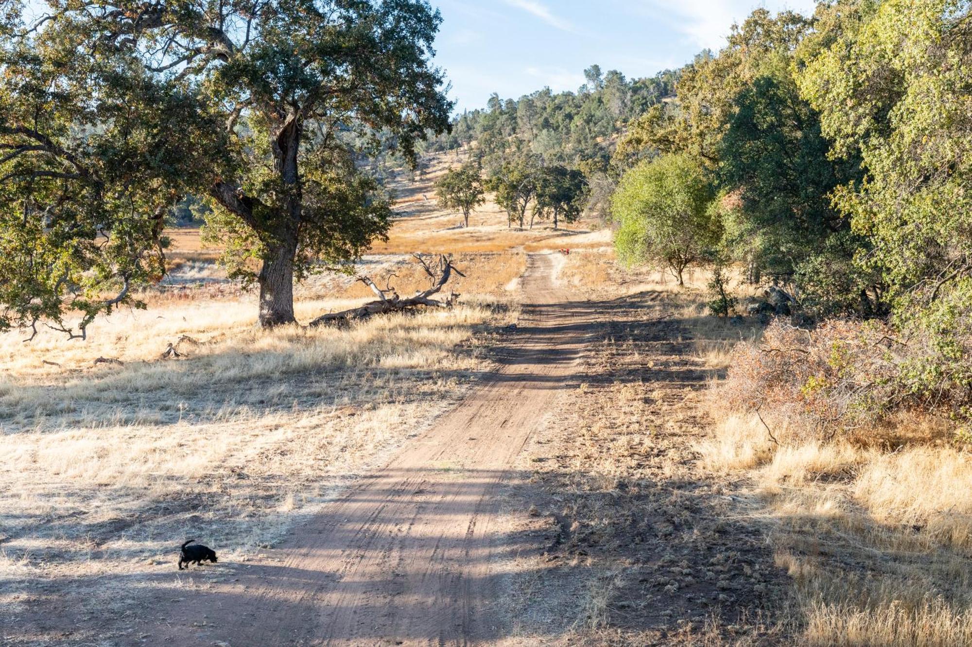 Rolling Oaks Ranch - 200 Acres Of Lakeside Beauty & Countryside Serenity Mariposa Exteriör bild