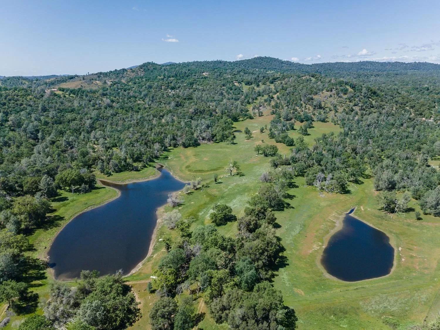Rolling Oaks Ranch - 200 Acres Of Lakeside Beauty & Countryside Serenity Mariposa Exteriör bild