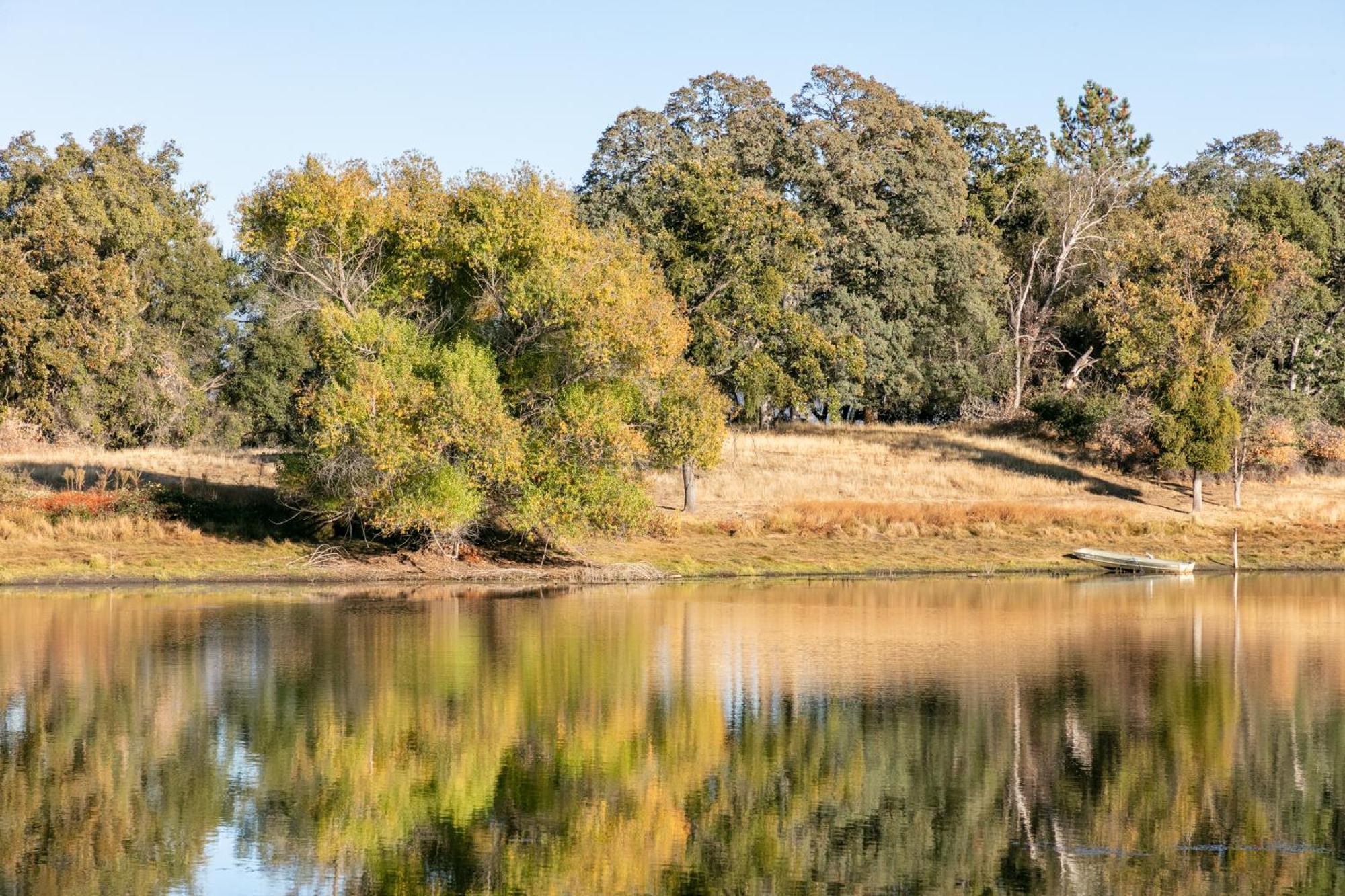 Rolling Oaks Ranch - 200 Acres Of Lakeside Beauty & Countryside Serenity Mariposa Exteriör bild