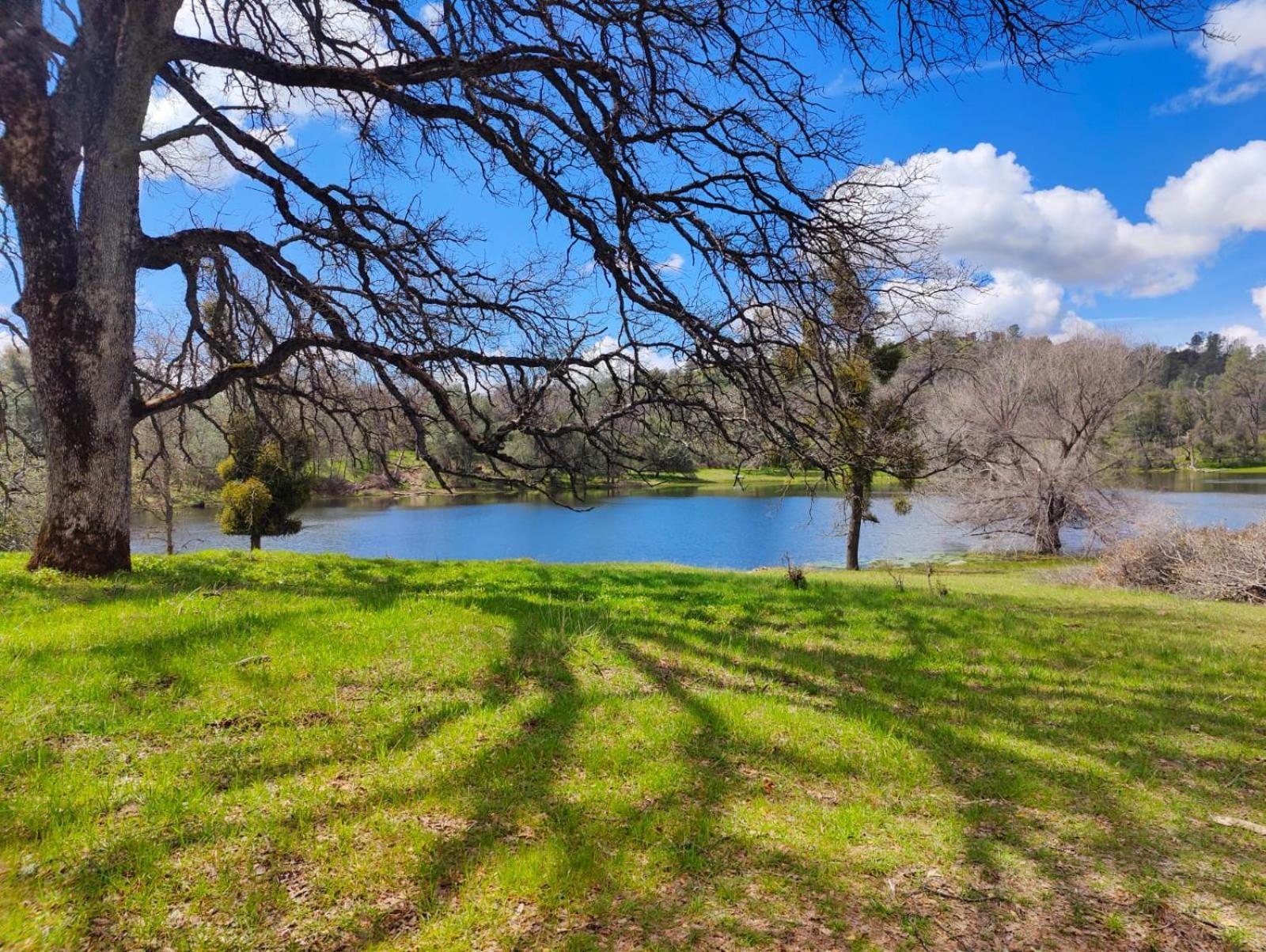 Rolling Oaks Ranch - 200 Acres Of Lakeside Beauty & Countryside Serenity Mariposa Exteriör bild